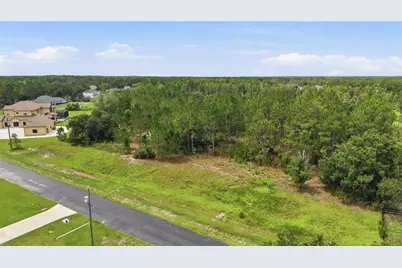8616 Spring Forest Lane, Wesley Chapel, FL 33544 - Photo 7