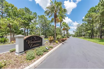 8616 Spring Forest Lane, Wesley Chapel, FL 33544 - Photo 1