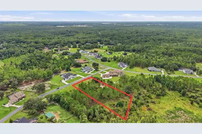 8616 Spring Forest Lane, Wesley Chapel, FL 33544 - Photo 5
