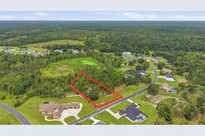 8616 Spring Forest Lane, Wesley Chapel, FL 33544 - Photo 3