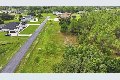 8616 Spring Forest Lane, Wesley Chapel, FL 33544 - Photo 9