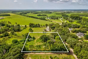 6548 Lake Irene Dr, Land O Lakes, FL 34638 - Photo 3