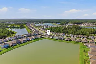 2927 Living Coral Dr, Odessa, FL 33556 - Photo 45