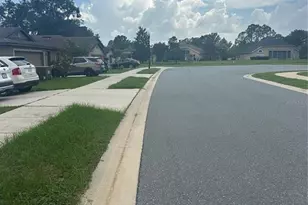 6900 Crested Orchid Dr, Brooksville, FL 34602 - Photo 15