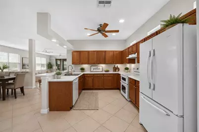 20931 Diamonte Drive, Land O Lakes, FL 34637 - Photo 5