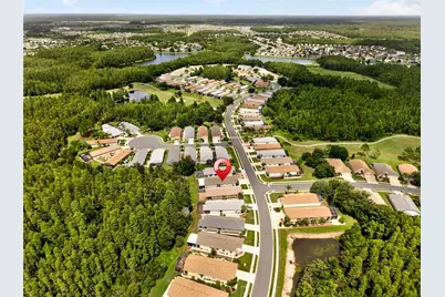 20931 Diamonte Drive, Land O Lakes, FL 34637 - Photo 43