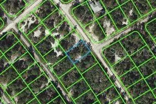 532 Summer Hill Dr, Lake Placid, FL 33852 - Photo 1