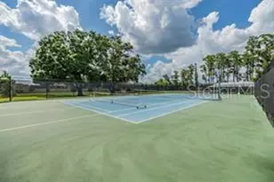 19364 Breynia Dr, Lutz, FL 33558 - Photo 51