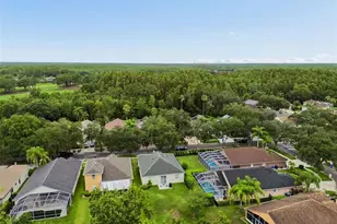 19029 Chemille Dr, Lutz, FL 33558 - Photo 65