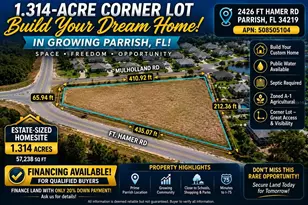 2426 Fort Hamer Rd, Parrish, FL 34219 - Photo 1