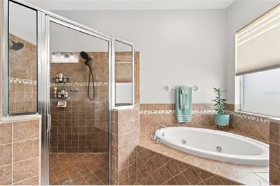 3335 Stonegate Falls Drive, Land O Lakes, FL 34638 - Photo 29