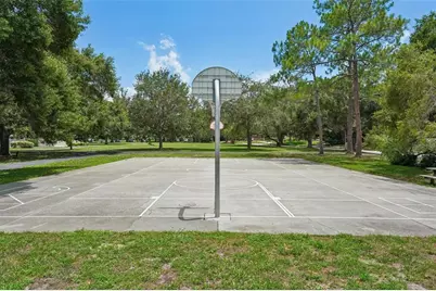 818 Village Way, Palm Harbor, FL 34683 - Photo 43