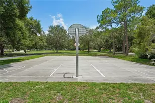 818 Village Way, Palm Harbor, FL 34683 - Photo 43