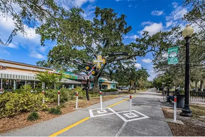 426 Birdsong Lane, Dunedin, FL 34698 - Photo 57