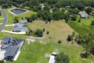 8408 Woodleaf Blvd, Wesley Chapel, FL 33544 - Photo 61