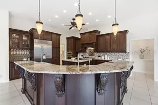 18655 Avenue Capri, Lutz, FL 33558 - Photo 13