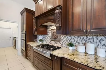 18655 Avenue Capri, Lutz, FL 33558 - Photo 15