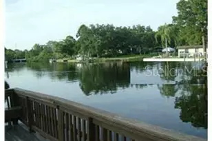 9110 Tudor Dr, Tampa, FL 33615 - Photo 3