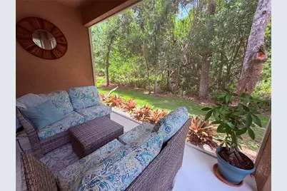 4244 Preserve Place, Palm Harbor, FL 34685 - Photo 47