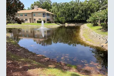 4244 Preserve Place, Palm Harbor, FL 34685 - Photo 59