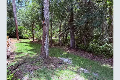4244 Preserve Place, Palm Harbor, FL 34685 - Photo 49