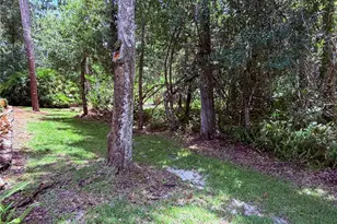 4244 Preserve Pl, Palm Harbor, FL 34685 - Photo 49