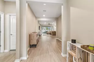 8012 Olive Brook Dr, Wesley Chapel, FL 33545 - Photo 5