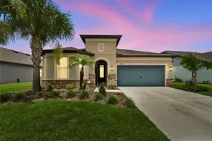 8012 Olive Brook Dr, Wesley Chapel, FL 33545 - Photo 1