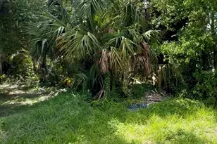 S Franklin St, Plant City, FL 33563 - Photo 1