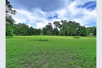 16605 Happy Garden Way, Lutz, FL 33549 - Photo 11