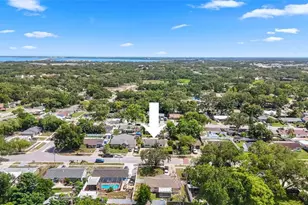 2809 Edenwood St, Clearwater, FL 33759 - Photo 39