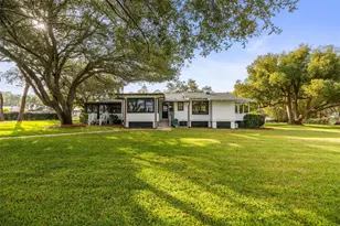 458 Scotland St, Dunedin, FL 34698 - Photo 59