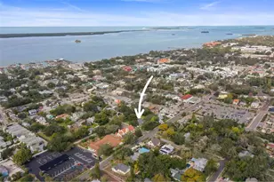 458 Scotland St, Dunedin, FL 34698 - Photo 77