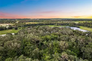 33415 Kiefer Rd, Wesley Chapel, FL 33545 - Photo 75