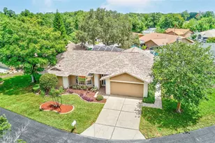 10529 Ayr Ct, New Port Richey, FL 34654 - Photo 39