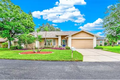 10529 Ayr Court, New Port Richey, FL 34654 - Photo 1