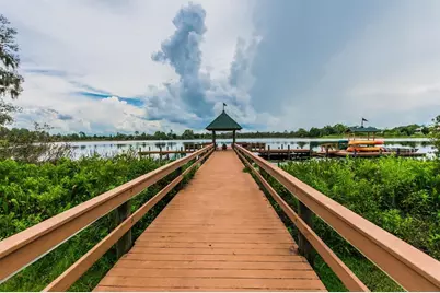 21500 Cormorant Cove Drive, Land O Lakes, FL 34637 - Photo 87