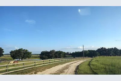 Covington Road, Dade City, FL 33525 - Photo 11
