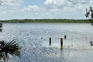1610 Berwick Ct, Palm Harbor, FL 34684 - Photo 29