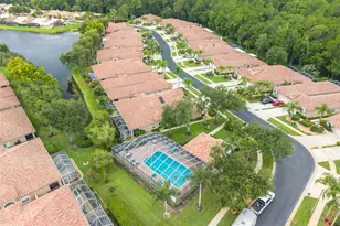 3777 Darston St, Palm Harbor, FL 34685 - Photo 27