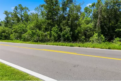 Centennial Road, Dade City, FL 33525 - Photo 3