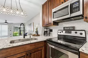 4115 Chatham Oak Ct, Tampa, FL 33624 - Photo 19