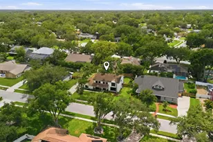 11007 Theresa Arbor Dr, Tampa, FL 33617 - Photo 51