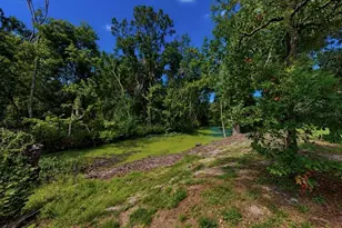 1005 Highgrove Ct, Valrico, FL 33596 - Photo 29