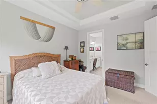 11357 Callisia Dr, Odessa, FL 33556 - Photo 19