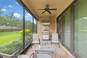 11357 Callisia Dr, Odessa, FL 33556 - Photo 31