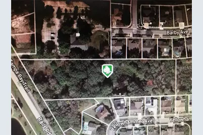 15025 Rails Road, Odessa, FL 33556 - Photo 1