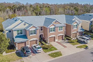 26613 Castleview Way, Wesley Chapel, FL 33544 - Photo 13