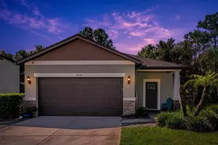 4342 O' Rourke Ct, Wesley Chapel, FL 33543 - Photo 1