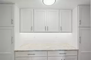 2407 S Ardson Pl, Tampa, FL 33629 - Photo 41